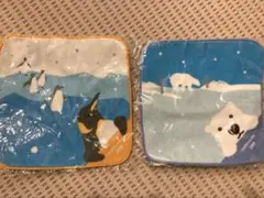 旭山動物園 タオルセット ペンギン ホッキョクグマ