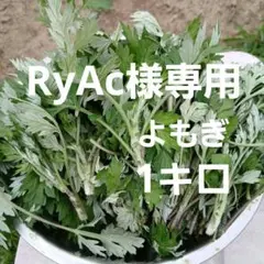 RyAc様専用　週末限定　天然よもぎ1kg
