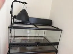 Exo Terra 爬虫類飼育ケージ ライトドームセットのサムネイル