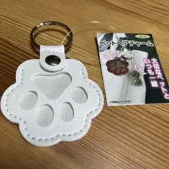 화이트 포 펫 헤어 참