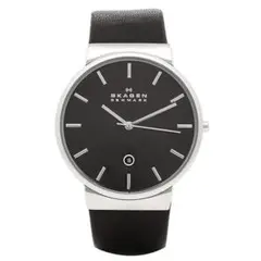 【匿名配送】SKAGEN SKW6104のサムネイル