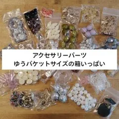 no.1　アクセサリー　パーツ　ハンドメイド