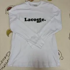 Lacoste ホワイト 長袖カットソー US S