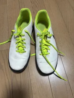 Item thumbnail for item 90f3cfe0-0fd5-4fba-80d1-e30f6e515cc5