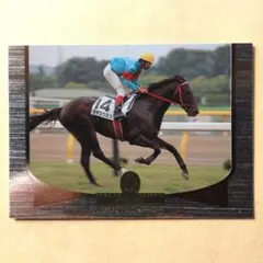 98駿 競馬カード、タヤスツヨシ【3点300円】