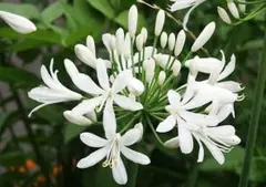 恵美子様 リクエスト 2点 まとめ商品