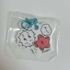 ナガノマーケット　ナガノキャラクターズ　アザラシたちのアクリルチャーム　ヒトデ