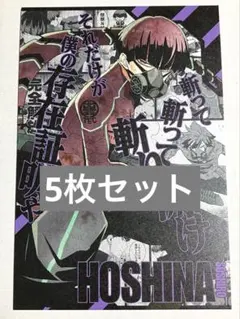 保科宗四郎 ポストカード 5点セット