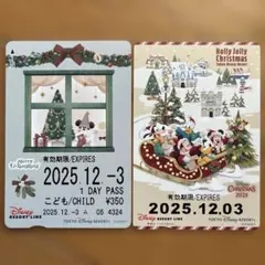 【使用不可】東京ディズニーリゾート クリスマス