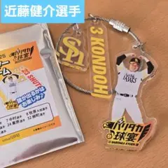 福岡ソフトバンクホークス 近藤健介選手 ワイヤーチャーム