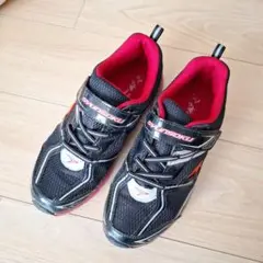 【値下げ】瞬足スニーカー24.5cm(EE)