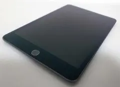 iPad mini5 第5世代バッテリー95% SIMロック解除済み