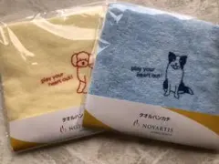 NOVARTIS ノバルティス非売品ノベルティタオルハンカチ 犬柄 2種類SET
