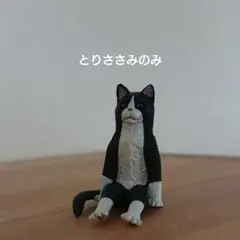いなば チャオ Highエナジーちゅーる 20袋 2種計80本☆猫栄養補給