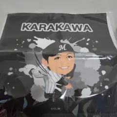 唐川 侑己選手 #19 応援グッズ 10点セット 千葉ロッテ