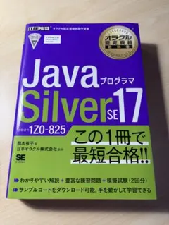 2026年最新】JaVa silver se 17の人気アイテム - メルカリ