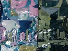 Item thumbnail for item 77a77406-51cf-48b5-bc2f-12c3c1fba380