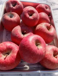 beautifulcrin様専用　糖度21%！贈答用クラス5キロ信州高山村産フジ