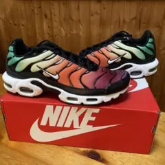 NIKE W AIR MAX PLUS rainbow メンズサイズ27.5
