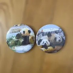 上野動物園 シャンシャン 缶バッジ 3個セット パンダ - メルカリ