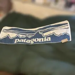 2026年最新】patagonia バスタオルの人気アイテム - メルカリ