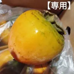 秘蔵.蔵出し蜂屋柿5【専用】のサムネイル