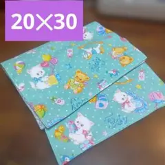 約20✕30ランチョンマット２枚セットラブリー保育園