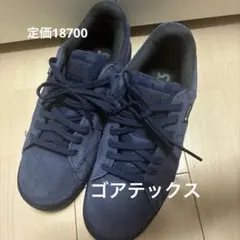 GEL-PTG GTX / ゲルピーティージー ゴアテックスのサムネイル
