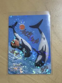 2026年最新】鳥羽水族の人気アイテム - メルカリ