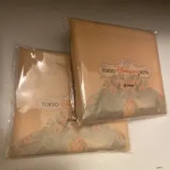 【新品】東京ディズニーランドホテル エコバッグ