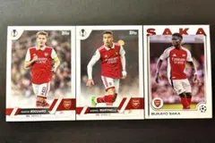 Item thumbnail for item 95703bbd-8078-41d4-8471-d867833b9d75