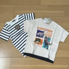 tシャツ　まとめ売り　110 恐竜　ボーダー　タグ付き