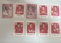 バレーボール男子日本代表カード9枚(バラ売り不可)