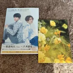 美しい彼 ビジュアルブック&パンフレット