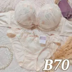 №1570【B70】ブラジャー＆フルバックショーツ
