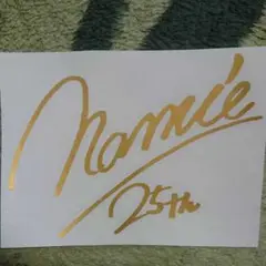 Namie Amuro ステッカー １m Amazon.co.jp: 【ミニサイズ】安室奈美恵 カッティング