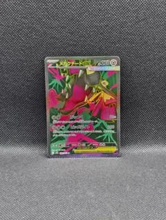 メガクチートex【SR】メガブレイブ