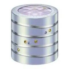 2026年最新】トワニーセルリズムの人気アイテム - メルカリ