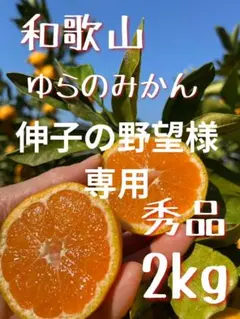 ※伸子の野望様専用　和歌山県由良町産　温州みかん2kg秀品