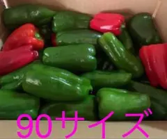 ピーマン90サイズのサムネイル