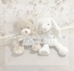 R...✩.*˚プロフ確認お願い致します。様 専用ページ