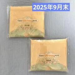 東京ディズニーランドホテル ノベルティー　エコバッグ2つセット