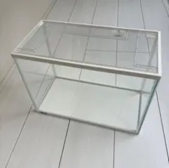 2026年最新】水槽 引き取りの人気アイテム - メルカリ