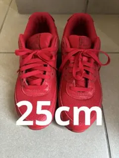 2点セット！！ ☆Nike Air Max 90 レッド＆AIR Zoomブルー