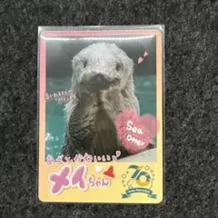 鳥羽水族館 コレクションカード キラ - メルカリ