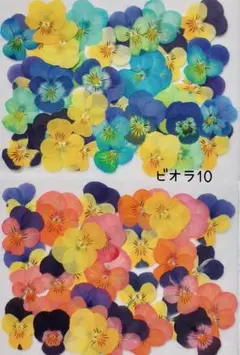 cotaru様 リクエスト 2点 まとめ商品