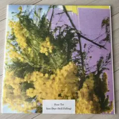 FOUR Tet Into Dust(Still Falling) 新品未使用