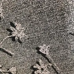 Item thumbnail for item 86ec589b-2284-4dd8-9bf7-a31c8396cd6a