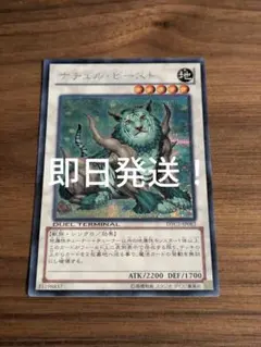 遊戯王 ナチュル・ビースト 日本語 シークレット DTC - メルカリ