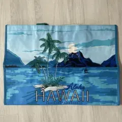 ☆未使用品 コストコ エコバッグ　 ☆HAWAII ショッピングバッグのサムネイル